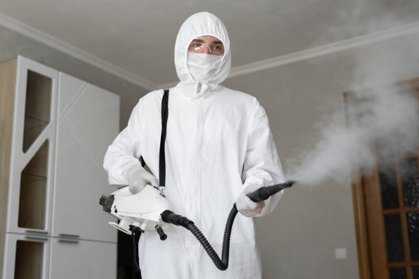 Trusted Heritage Pines, FL Mold Removal Services Experts